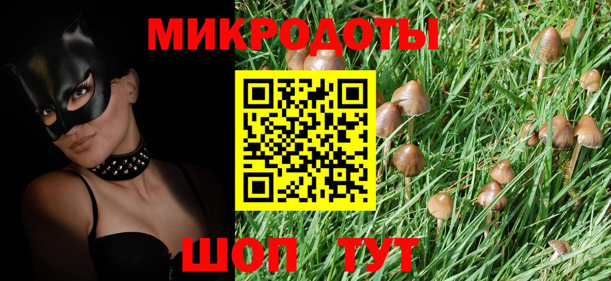 Псилоцибиновые грибы Psilocybine cubensis Киселёвск