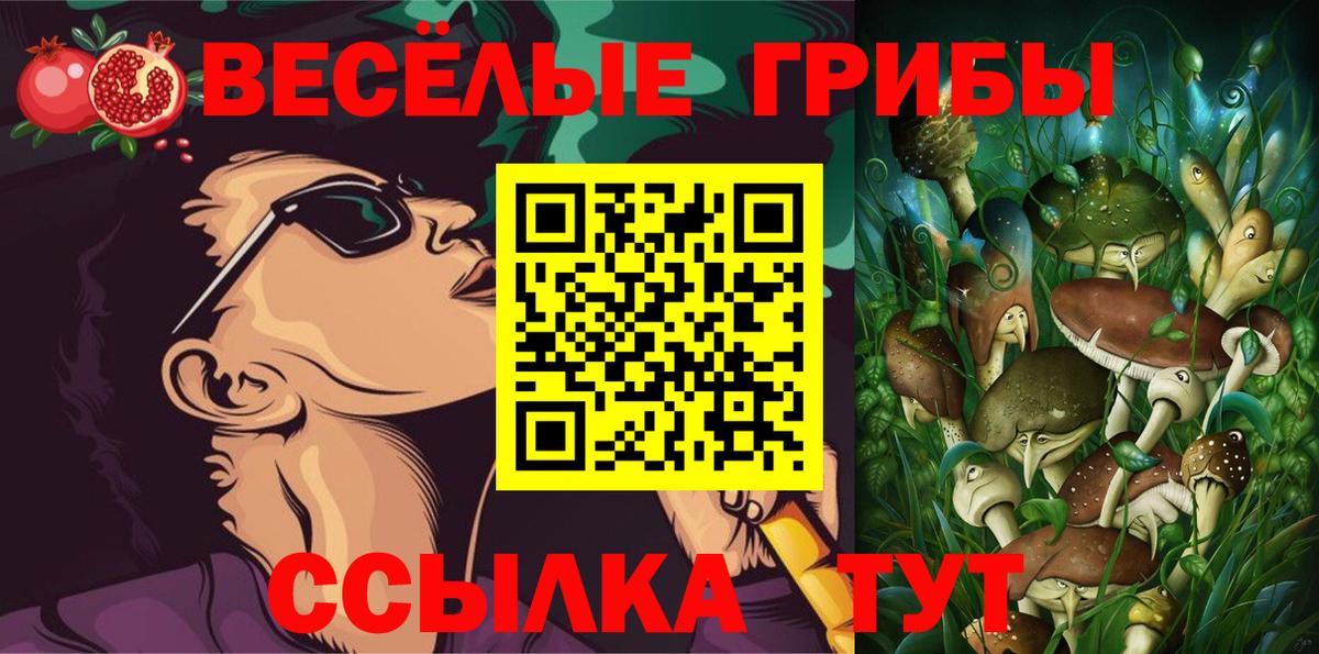 Галлюциногенные грибы Psilocybe  Вход с VPN  Галлюциногенные грибы Psilocybine cubensis  Киселёвск 
